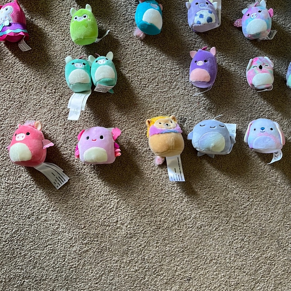 Mystery Squishville Minis, Micros or Vehicles-New with or w/o tag. DO NOT BUY! - Picture 8 of 10